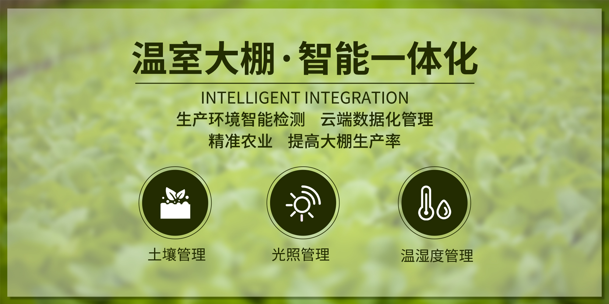 智慧農業系統