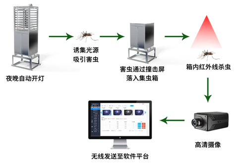 農業蟲情監測系統